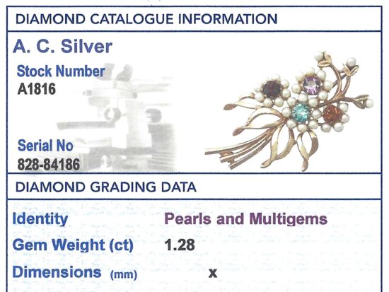 Independent Grading Report Card Image