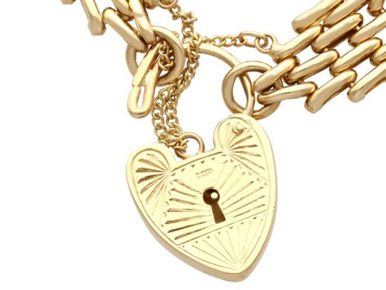 Padlock Clasp Open View