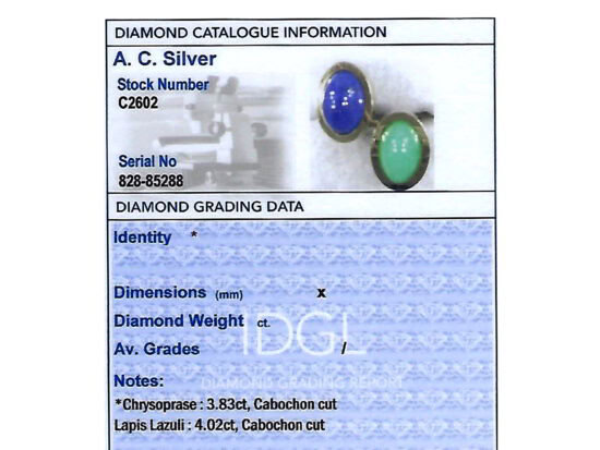 Independent Grading Report Card Image