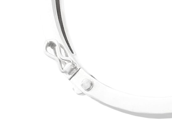 Hinged Safety Catch Close-Up