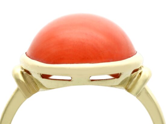 Oval Coral Mount Detail