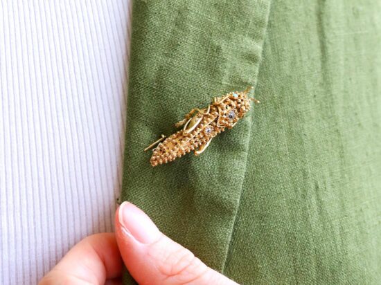 Brooch on Jacket