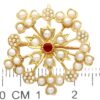 Antique pearl and Ruby Brooch size