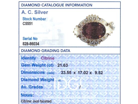 Independent Grading Report Card Image