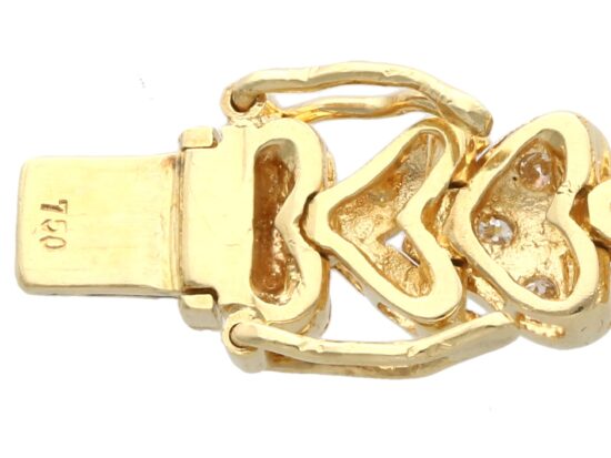 Hinged Safety Catch Close-Up