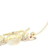 Antique Bug Brooch with Gems open