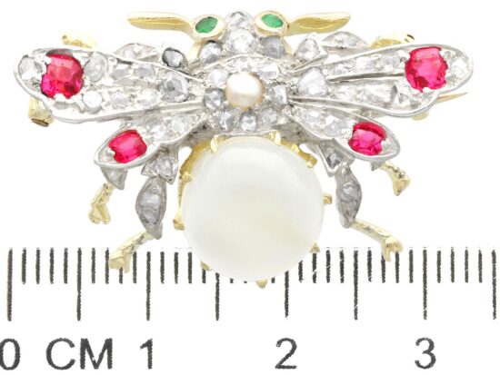 Antique Bug Brooch with Gems size