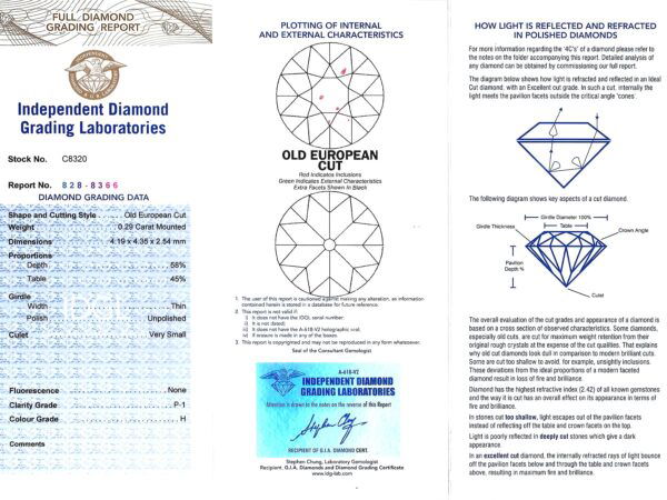 Diamond Grading Documentation With Bracelet