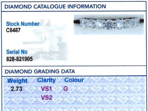 Claw Set Eternity Ring grading card