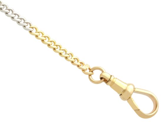 Gold Platinum Chain Detail