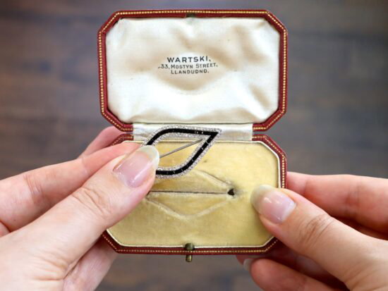 Cartier Black Onyx and Diamond Brooch boxed