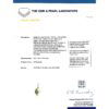 Pearl Diamond and Ruby Snake Pendant grading certificate