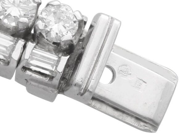 Clasp Close-Up Platinum