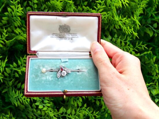 boxed Antique Diamond and Ruby Bug Brooch outside