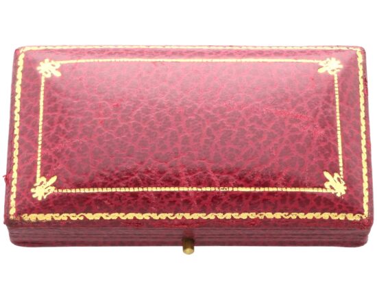 Antique Diamond and Ruby Bug Brooch box closed