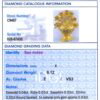 IDGL Grading Report Card Image