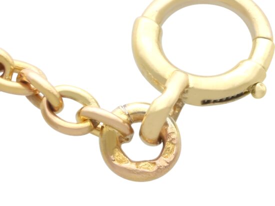 Gold Chain Clasp Close Up