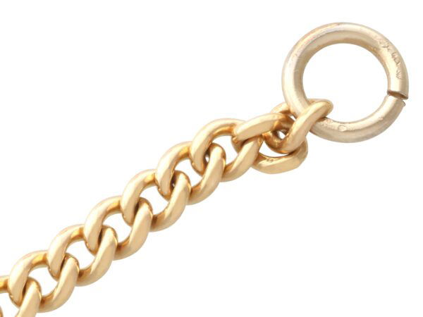 Swivel Clasp Detail Close-Up