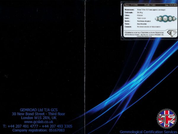 Official Jewellery Certification Documentation