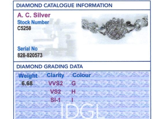 Diamond Grading Certificate Image