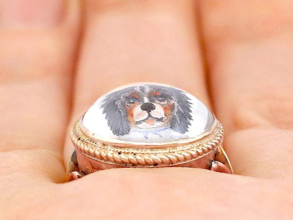 Wearing Essex Crystal Dog Dress Ring